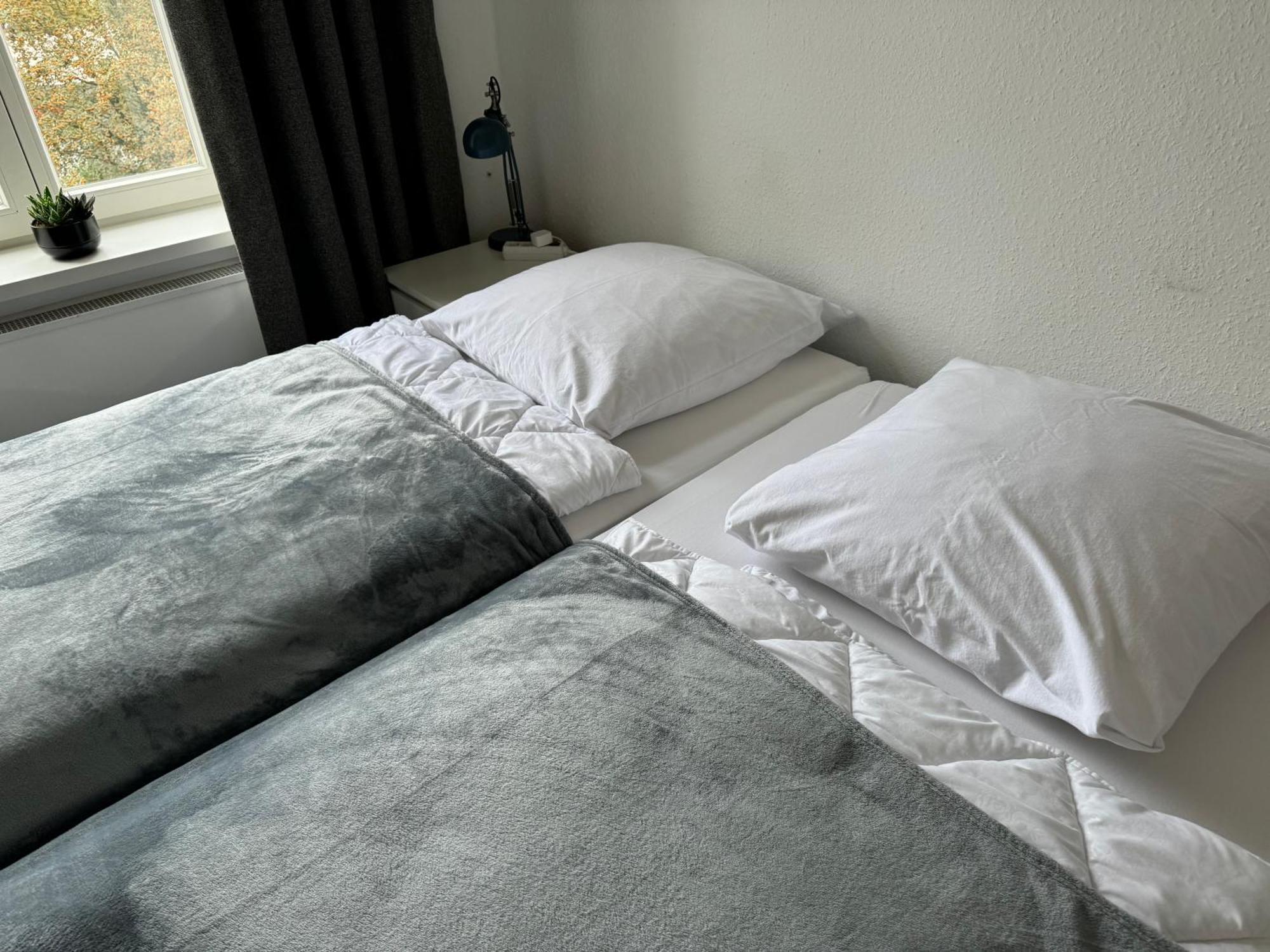 Moderne 4 Zimmer Apartment Mit Bergblick Stadtzentrum Contactless Check-In Gehrden  Екстер'єр фото
